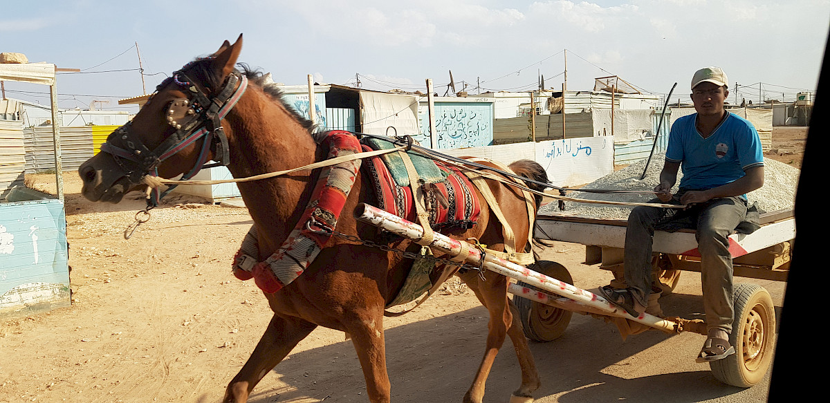 Pumpausbildung in der Wüste – THW-Helfer Michael Nätscher im Auslandseinsatz in Jordanien