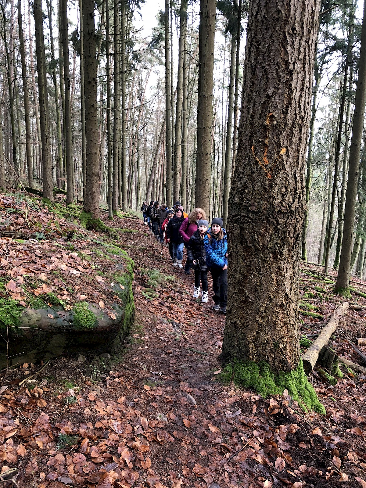 Auf Schusters Rappen durch den Spessart