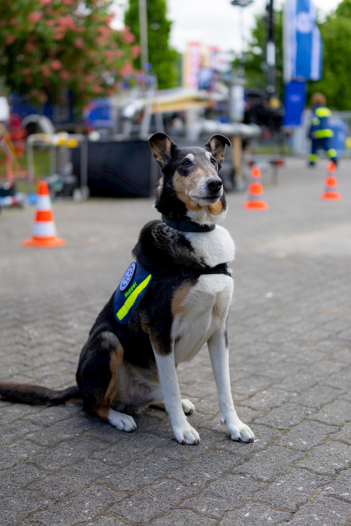 Tradition trifft Aktion - Entdeckertag beim THW Lohr
