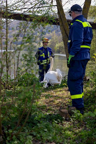 Erfolgreiche Tierrettung in Neustadt