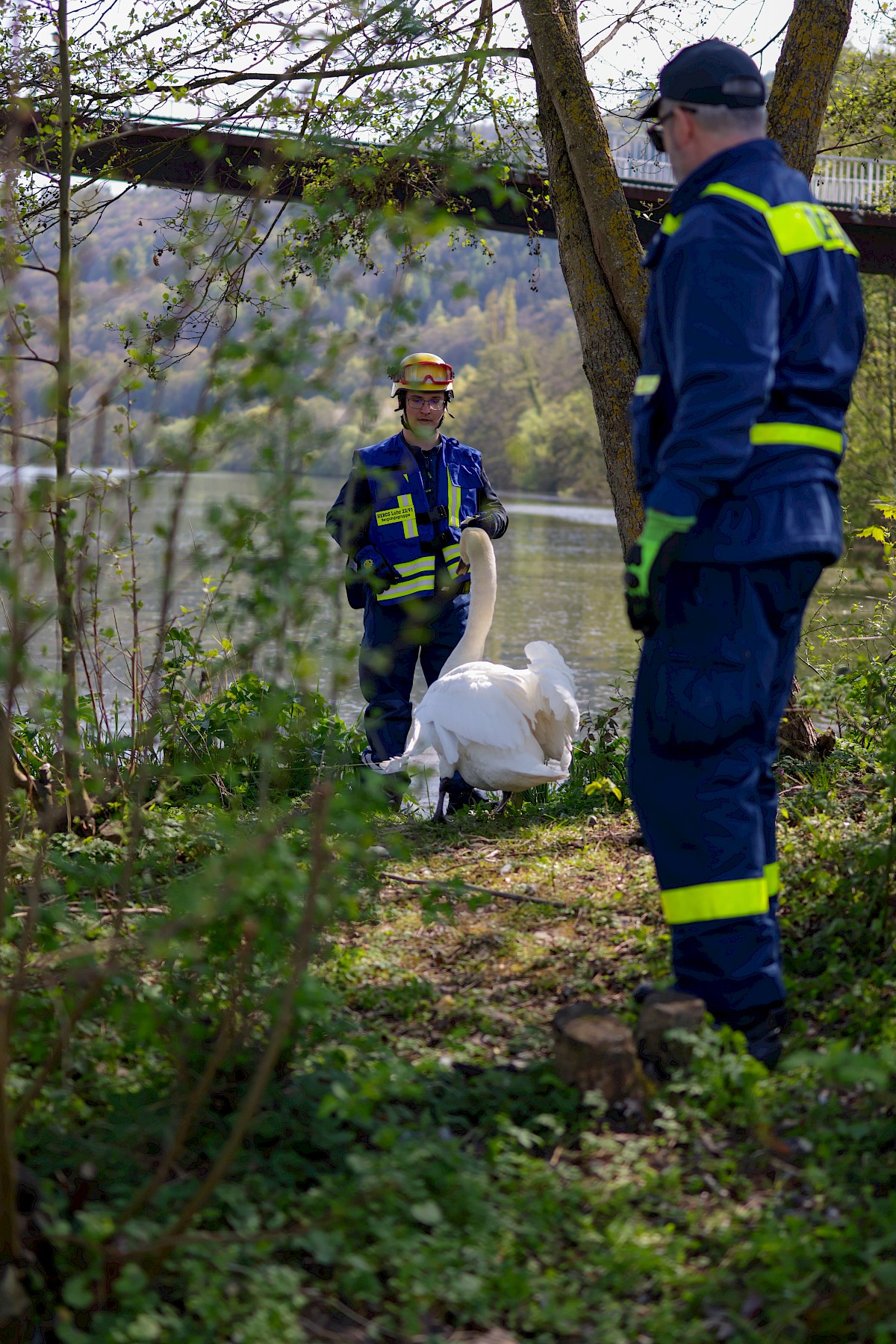 Erfolgreiche Tierrettung in Neustadt