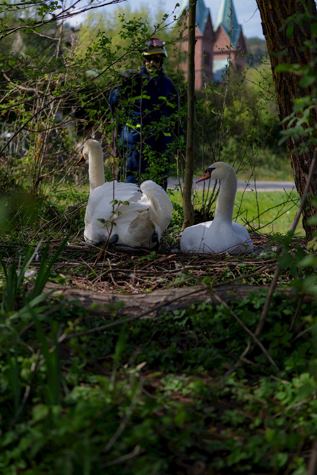 Erfolgreiche Tierrettung in Neustadt