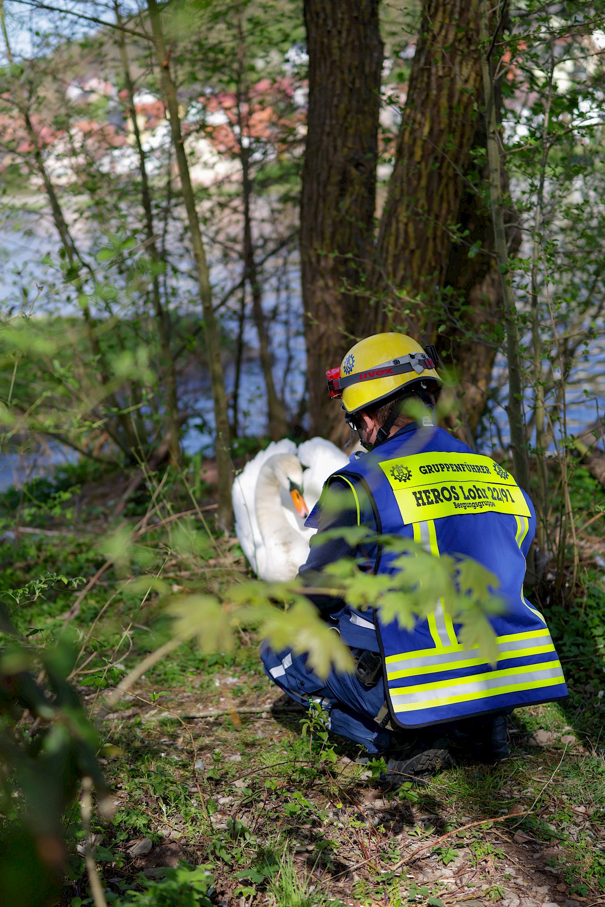 Erfolgreiche Tierrettung in Neustadt