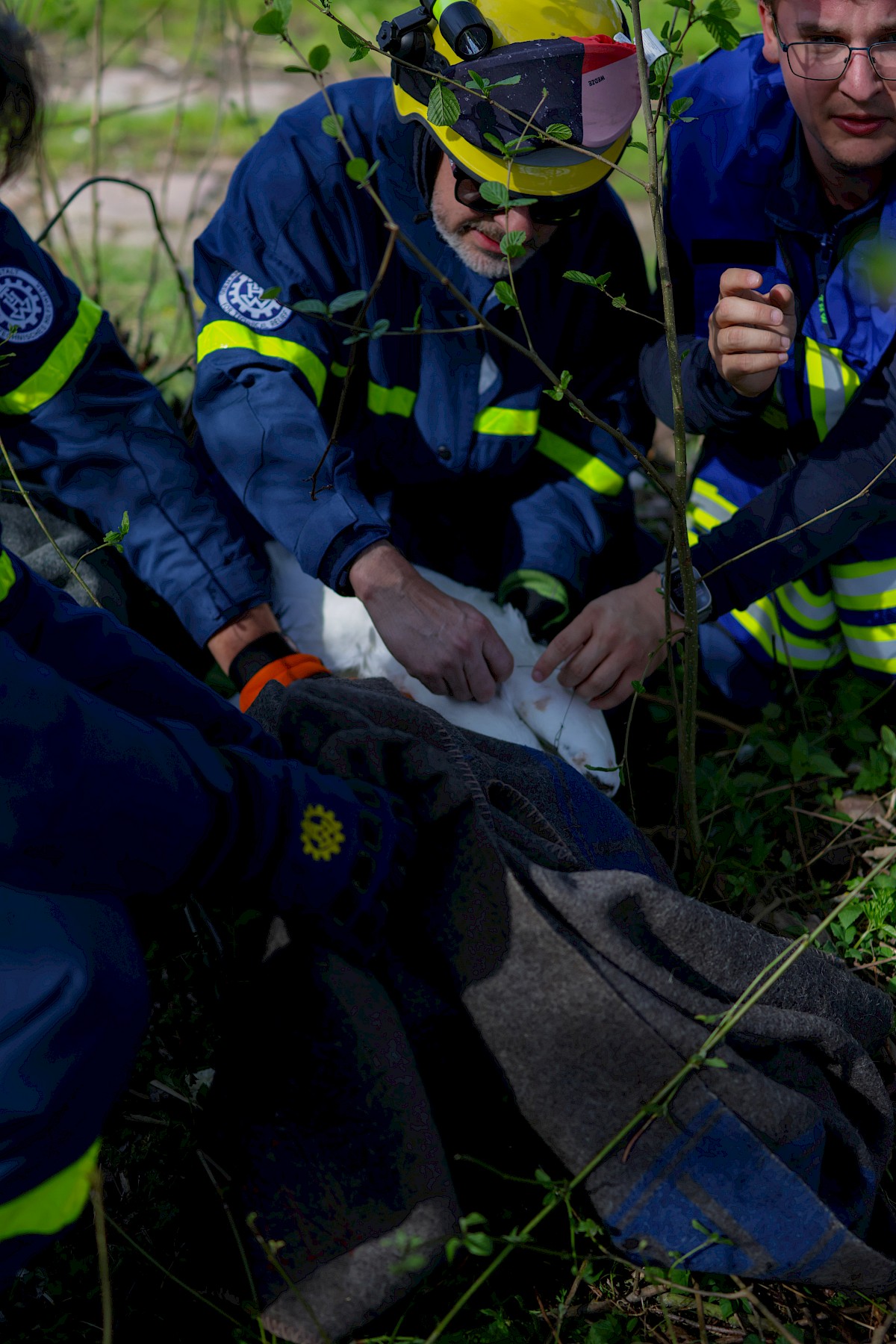 Erfolgreiche Tierrettung in Neustadt