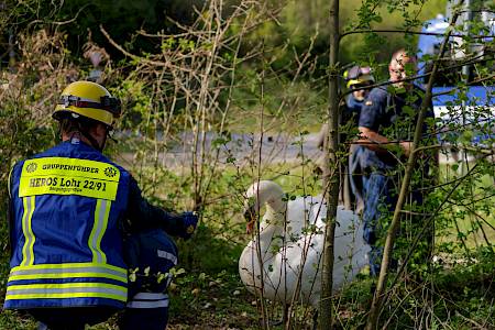 Erfolgreiche Tierrettung in Neustadt