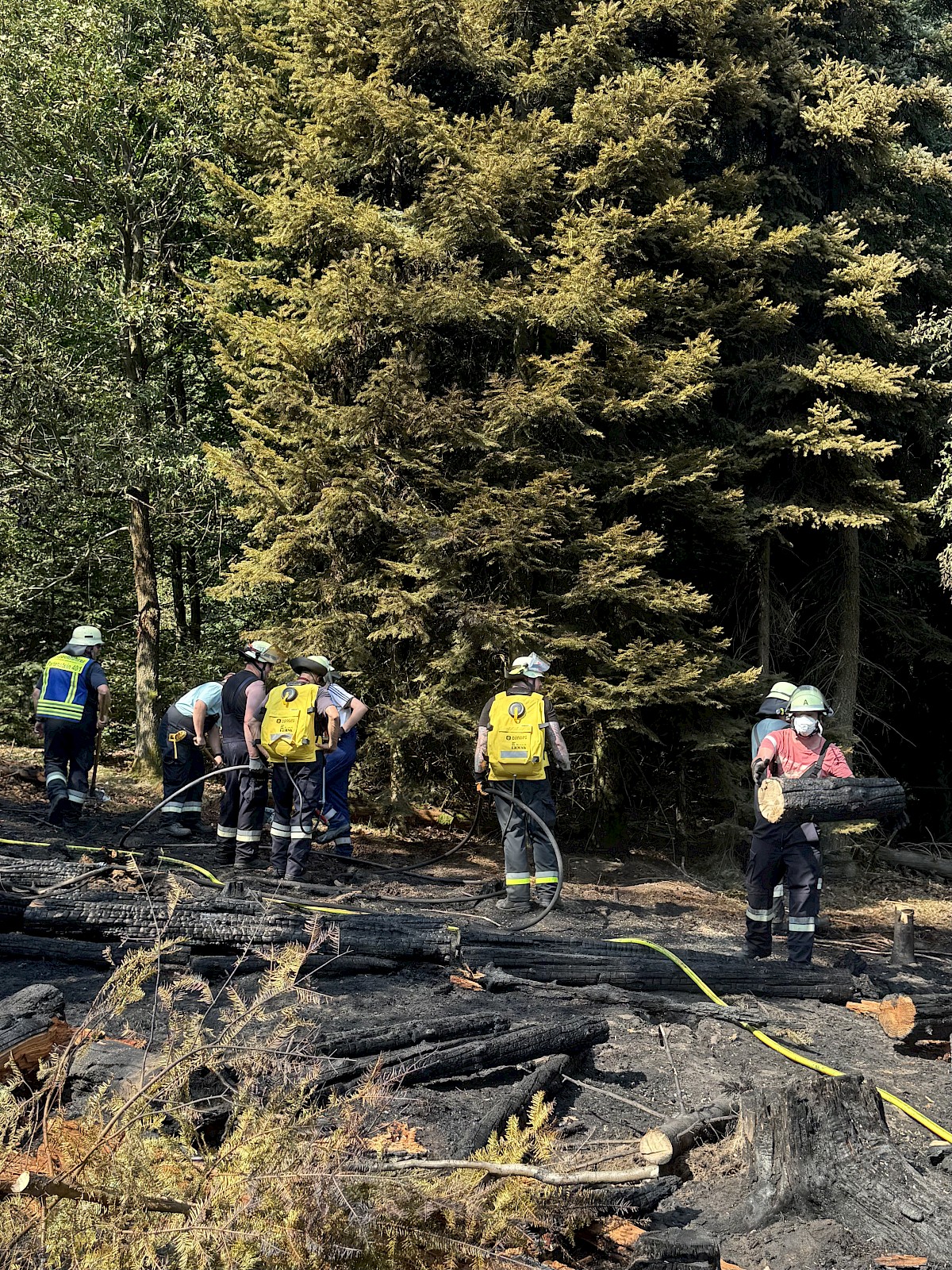 Viele Einsatzkräfte ein gemeinsames Ziel, THW unterstützt bei Waldbrandeinsatz in Rechtenbach