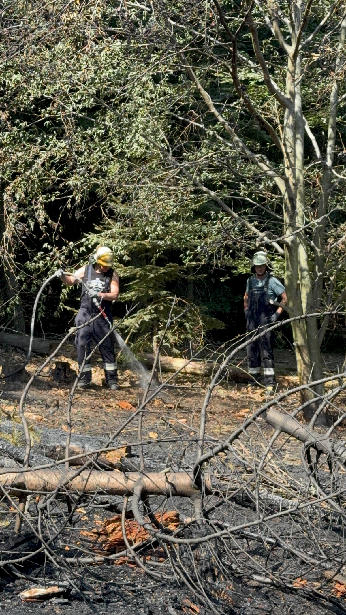 Viele Einsatzkräfte ein gemeinsames Ziel, THW unterstützt bei Waldbrandeinsatz in Rechtenbach