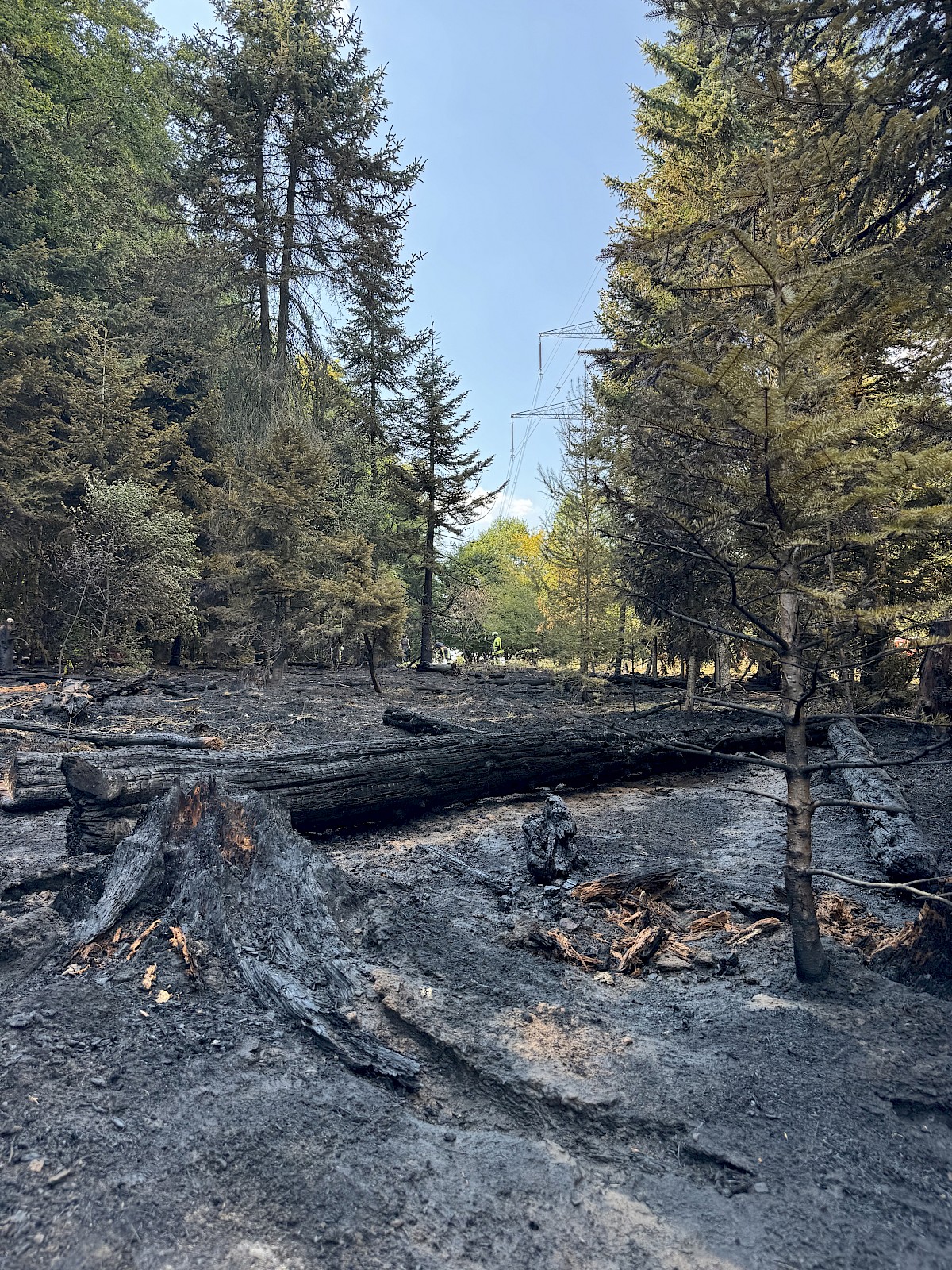 Viele Einsatzkräfte ein gemeinsames Ziel, THW unterstützt bei Waldbrandeinsatz in Rechtenbach