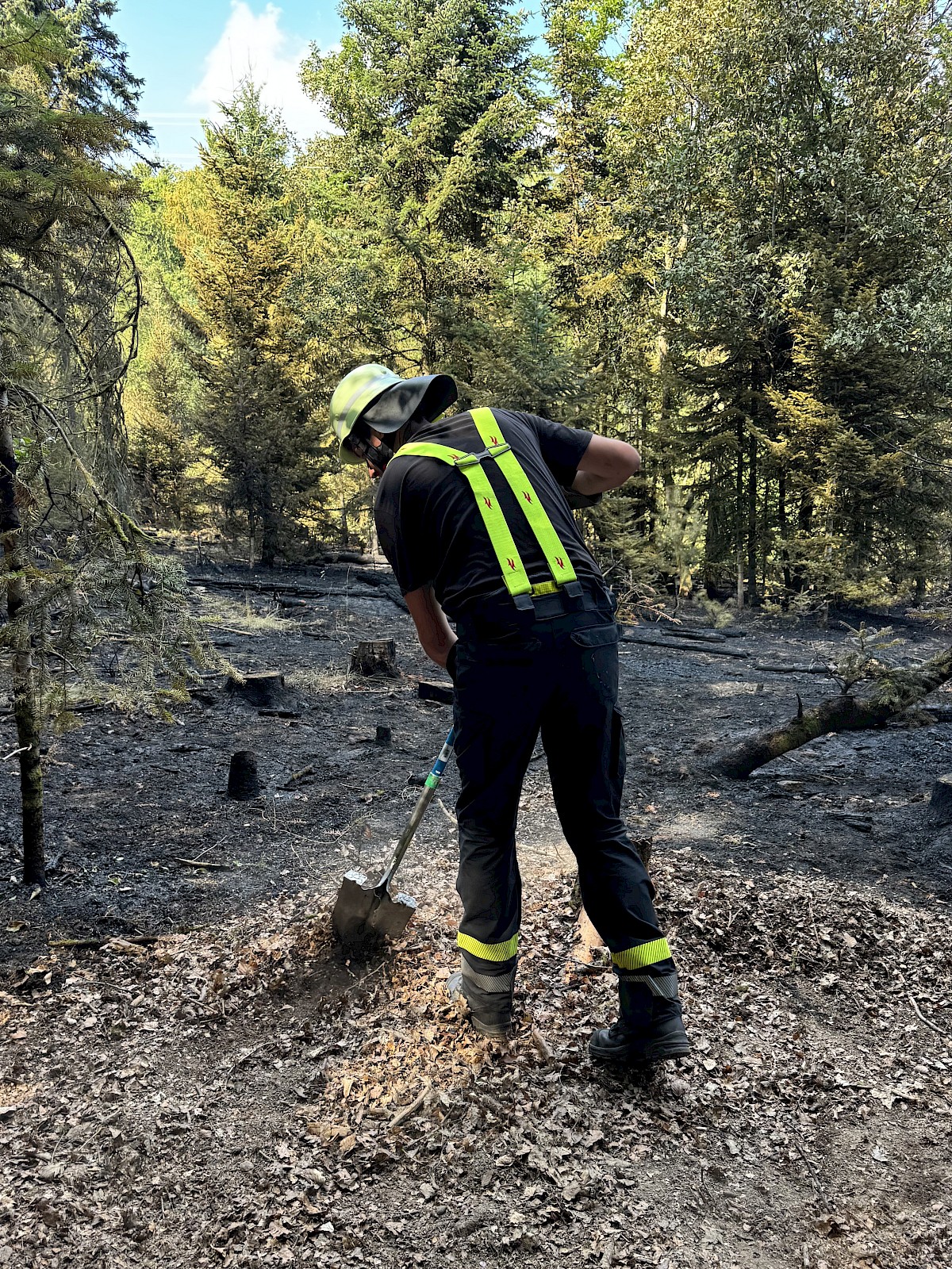 Viele Einsatzkräfte ein gemeinsames Ziel, THW unterstützt bei Waldbrandeinsatz in Rechtenbach