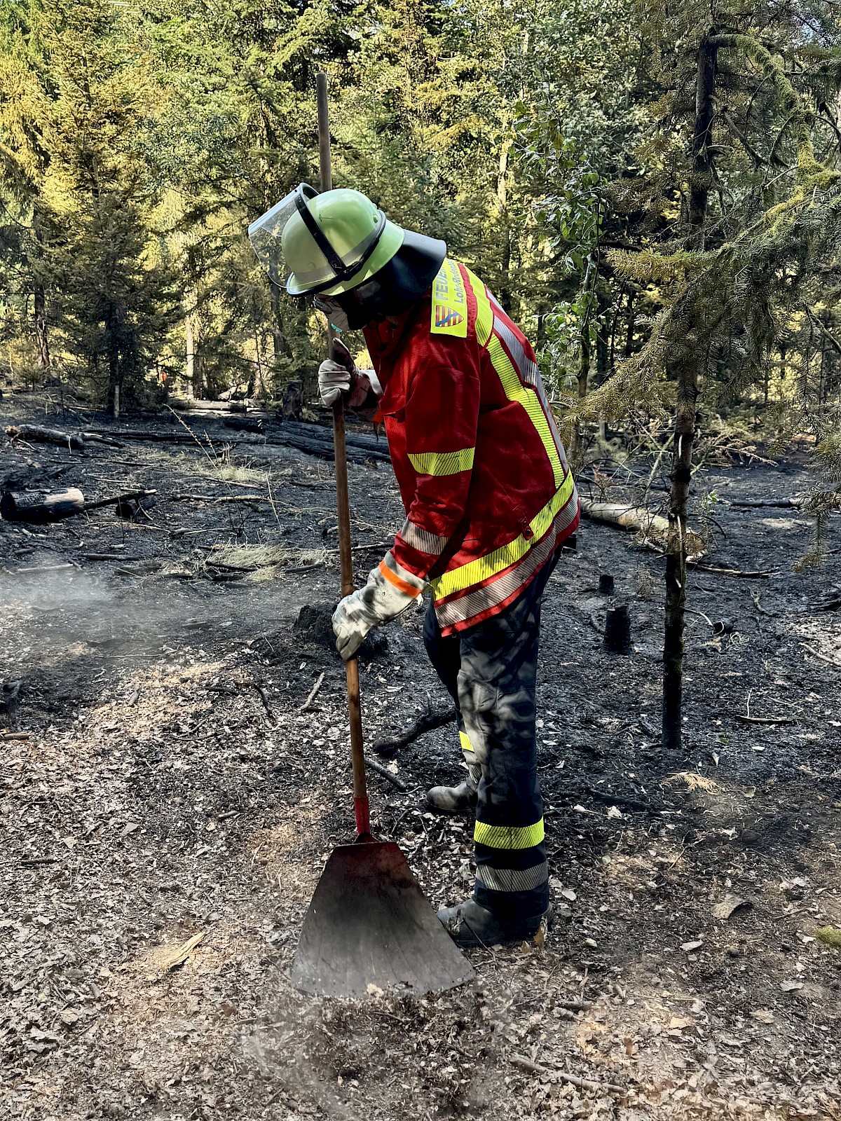 Viele Einsatzkräfte ein gemeinsames Ziel, THW unterstützt bei Waldbrandeinsatz in Rechtenbach